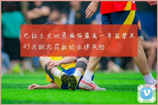 巴拉圭女议员面临最高一年监禁及45万欧元罚款的法律风险