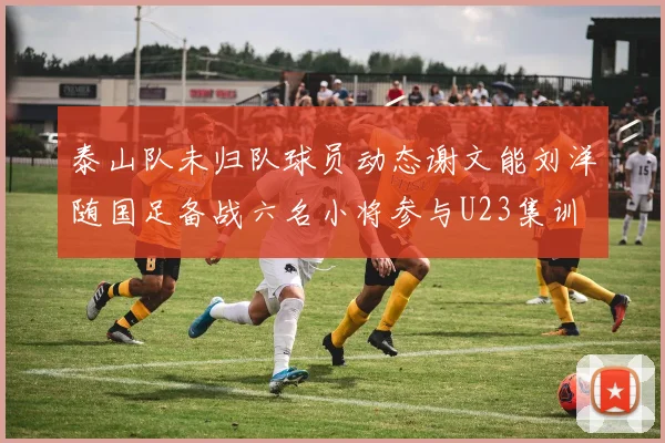 泰山队未归队球员动态谢文能刘洋随国足备战六名小将参与U23集训